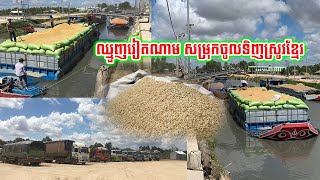 បានថ្លៃណាស់!!ឈ្មួញ​វៀតណាម ​សម្រុកចូល​​ទិញ​ស្រូវ​ខ្មែរ​ដល់​ផែ​ស្រូវ​ប្រឡាយ​ទាហាន រយៈពេល១ខែពេញហើយ...