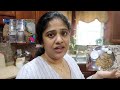 Days in our Life vlog/School Lunchbox I recommend/INSTANTPOT CHICKEN BRIYANI/Routine VLOG TAMIL USA