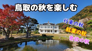 鳥取の秋を楽しむ／田後港大漁感謝祭／鳥取城跡の紅葉／鳥取県岩美町