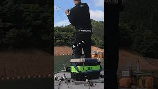 何故こうなる？魚探に映る魚影からルアーを逃すと…【ライブシューティング】#ライブスコープ  #リザーバー #bassfishing