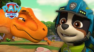 De pups herenigen de mama en baby dino - PAW Patrol Nederlands