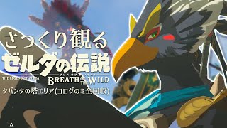 【コログ全回収】さっくり観るゼルダの伝説BotW マスターモード │ タバンタの塔エリア