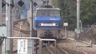 JR貨物 EF200-17号機（吹田）＋コキ22両　貨物列車2070レ 2019.02.10