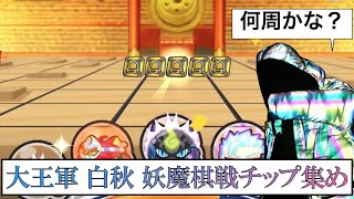 【高速周回】大王軍 白秋 妖魔棋戦チップ集め【妖怪ウォッチぷにぷに】妖魔将棋兵団 おはじき 蛇王銀将輪廻 大王金将邪神カチカチ