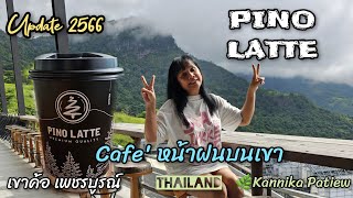 pino latte เขาค้อ เพชรบูรณ์