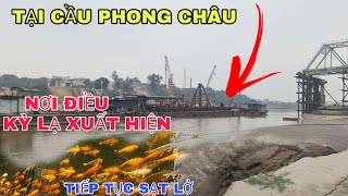 NGAY LÚC NÀY : VỊ TRÍ XUẤT HIỆN ĐÀN CÁ LẠ TIẾP TỤC SẠT LỞ VÀO BỜ.CẨU DẦM KHỦNG. ĐÓNG CỌC