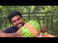 රබර්පටිවලින් කොමඩු ගෙඩිය පුපුරවමුද watermelon vs 500 rubber bands challenge exploding watermelon