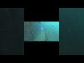 【水中映像】長崎県超有名堤防でアジ釣り 仕掛けにかかる魚の映像を完全撮影 in三重漁港