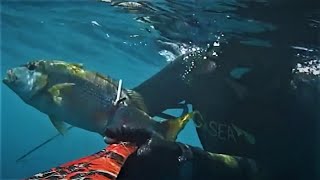 Spring Spearfishing Adventures: Shallow Dentex Pursuit 🌊 | Ψάρεμα Την Άνοιξη Για Συναγρίδα Στα Ρηχά