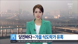 [뉴스투데이]당진바다 가을 식도락가 유혹