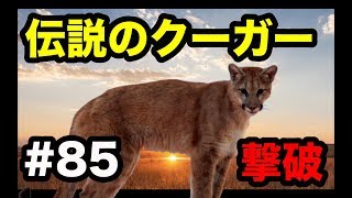 【実況】レッドデッドリデンプション2  Part.85  伝説のクーガーを撃破！