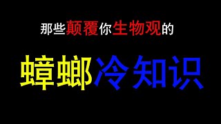 【冷知识】那些颠覆你“生物观”的“蟑螂冷知识”！