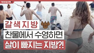 추울수록 살이 잘 빠진다.