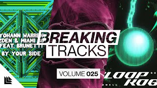 Breaking Tracks vol. 025