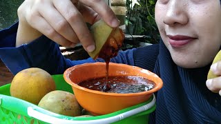 Panen buah kecapi langsung bikin rujakan