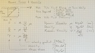 Viscous Forces and Viscosity