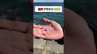 自作ブラクリで穴釣りをしたら2秒で根魚が釣れた#Shorts