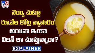 Explainer : నెయ్యి చుట్టూ రూ.వేల కోట్ల వ్యాపారం అయినా ఇంకా విలన్ లా చూస్తున్నారా? | Ghee Market -TV9