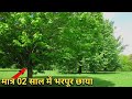 Top 05 fast growing Shade Giving Trees in India