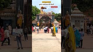 Preparation for Krishna Janmashtami Mathura #krishna #janmashtami #mathura #temple #video