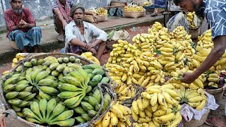 Banana Bazar Bogura | বিচি কলা বা আটিয়া কলা এই কলা এখন আর পাওয়া যায় না ||