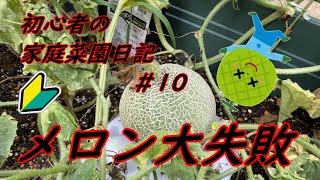 (2021-22)初心者の家庭菜園日記#10【メロン大失敗】