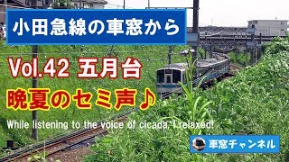 小田急線の車窓から vol.42 五月台 晩夏のセミ声♪ While listening to the voice of cicada, I relaxed!