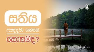 සතියේ උපත හදාගන්නේ කොහොමද ? - Zoom සාකච්චාව  @maithribuddha #Desana #niwanmaga