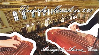 【古筝Guzheng Duo】Radetzky Marsch op. 228/拉德斯基进行曲|月汐复何夕 Artemis_Carie