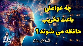 ⚪️چه عواملی باعث تخریب حافظه میشوند؟