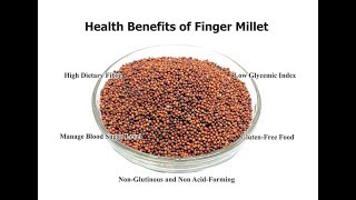 Health Benefits of Finger Millet (RAAGI) |  అనేక ఆరోగ్య ప్రయోజనాలను అందించే రాగులు