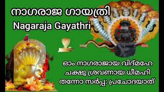 Nagaraja Gayathri Manthra with malayalam lyrics || നാഗരാജ ഗായത്രി മന്ത്രം || Shivani Padma