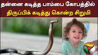 தன்னை கடித்த பாம்பை கோபத்தில் திருப்பிக் கடித்து கொன்ற சிறுமி