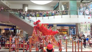 [4K] High Pole Lion Dance by Yi Wei @ HarbourFront Centre 8 Feb 25