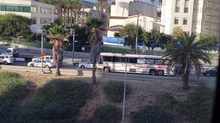 El Paso Los Angeles Limousine Express \u0026 LADOT Commuter Express at Los Angeles Union Station