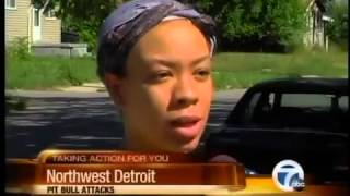 Pit bull attacks in northwest Detroit