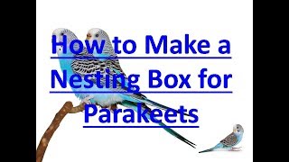 HOW TO MAKE A NESTING BOX FOR PARAKEETS