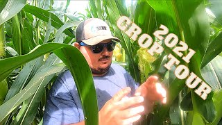 2021 Crop Tour:  How's the crop after a difficult spring?