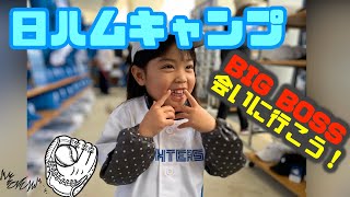 【日ハムキャンプ２日目】BIG BOSS 会いにいってみよう！