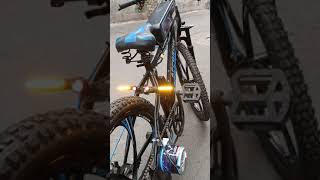 Amazing Electric cycle