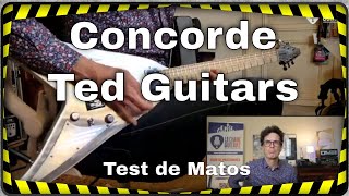 Concorde Ted Guitars, décollage immédiat !