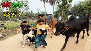 গাজীপুরের কালীগঞ্জের বিখ্যাত চুপাইর গরুর হাট থেকে বিক্রি  হওয়া গরু ছাগলের দাম জানুন ।(@SafolloTv )