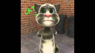 talking Tom's chat show