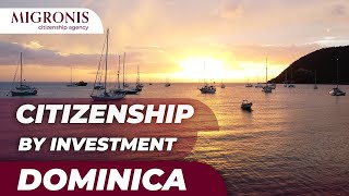 Dominica citizenship by investment: cost, term, procedure