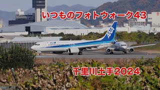 いつものフォトウォーク43 〜千里川2024〜