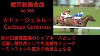 【競馬】カドゥージェネルー　Cadeaux Genereux【No 309】