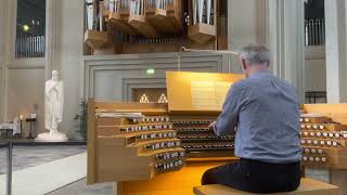 Hallgrímskirkja organ