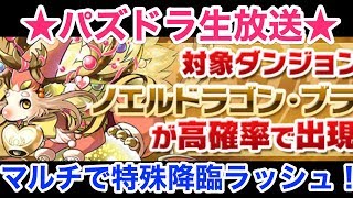 【パズドラ生放送】特殊降臨ラッシュで光ノエル狩りをしたい♪【初見さん大歓迎♪】