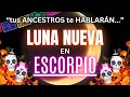 ☢️PODEROSA LUNA NUEVA EN ESCORPIO - 1 DE NOVIEMBRE♏ Serás VISITADO por TUS ANCESTROS💀😱