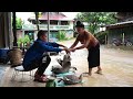 releasing pigs into the forest selling geese planting bamboo on the farm family farm